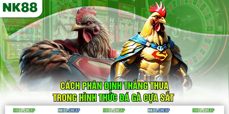 Cách phân định thắng thua trong hình thức đá gà cựa sắt
